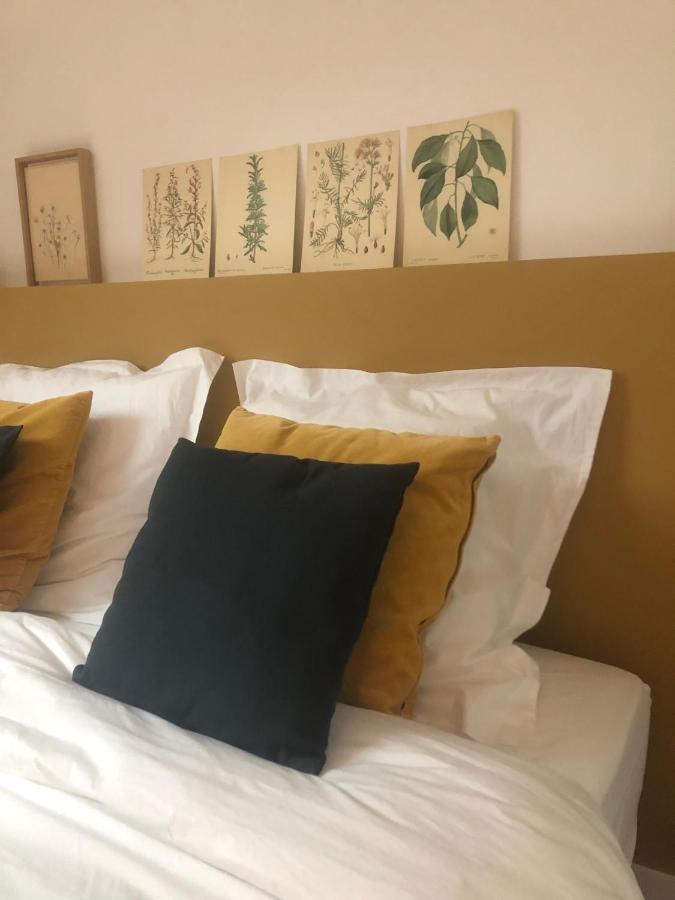 Maison Et Jardin A Epernay Centre Ville מראה חיצוני תמונה